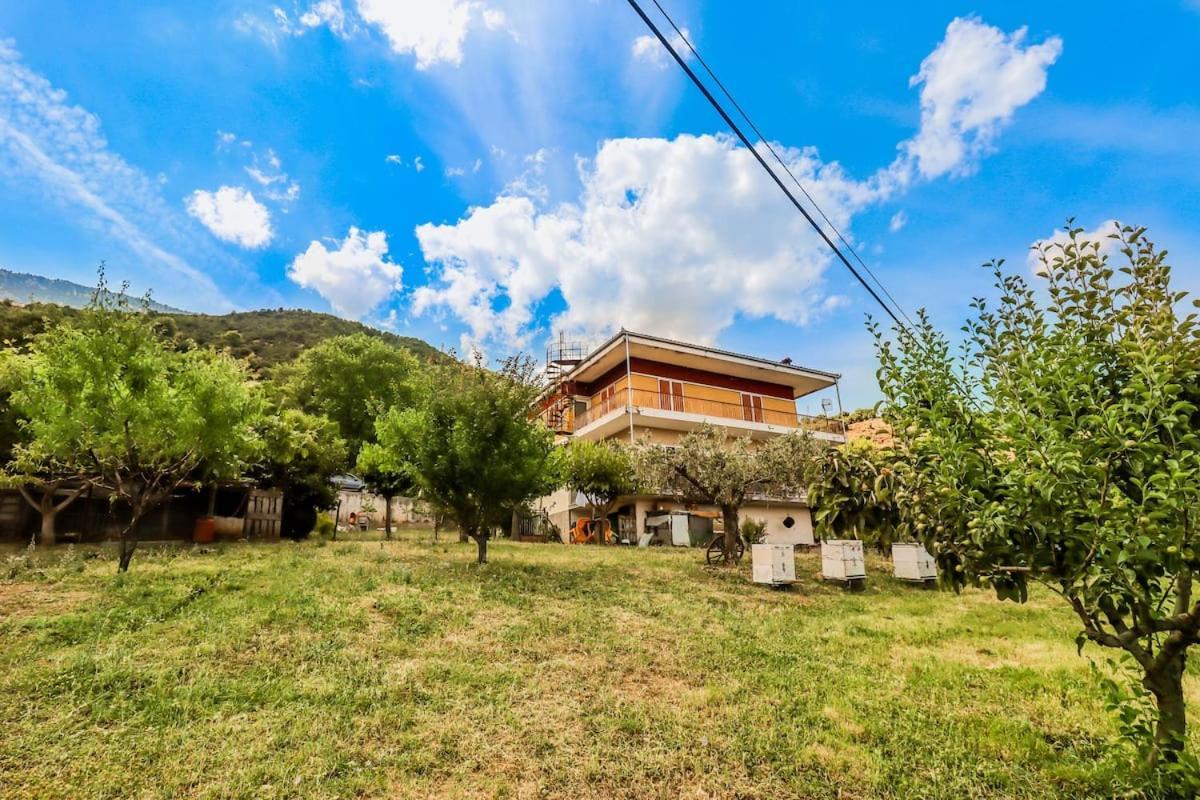 Country Home Genesi 20 Min From Trikala Dış mekan fotoğraf