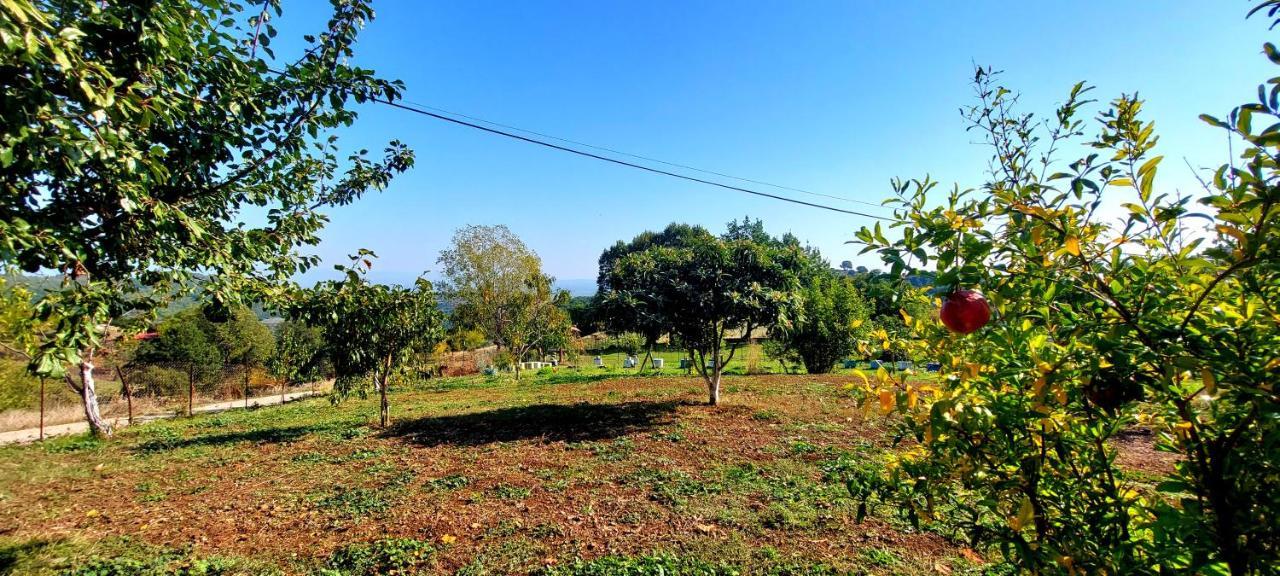 Country Home Genesi 20 Min From Trikala Dış mekan fotoğraf