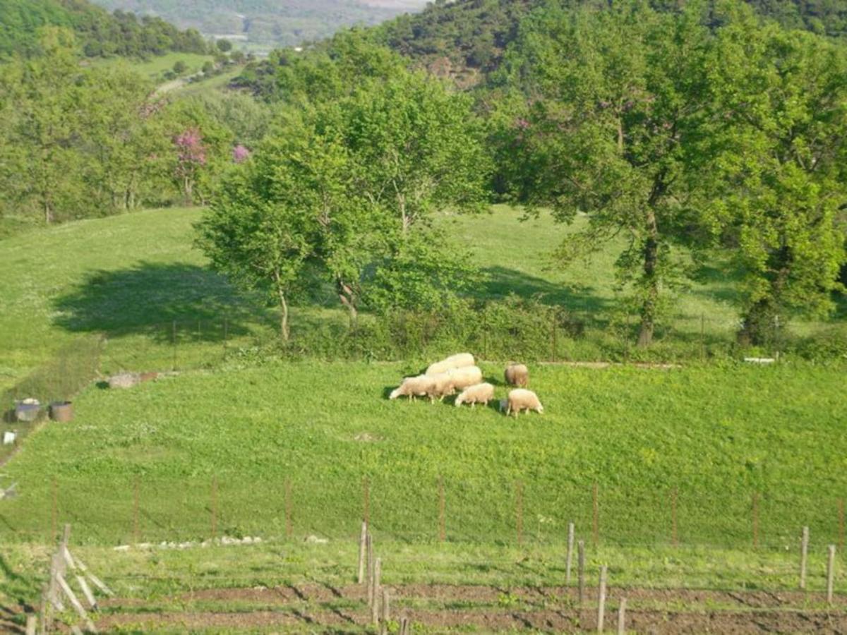 Country Home Genesi 20 Min From Trikala Dış mekan fotoğraf
