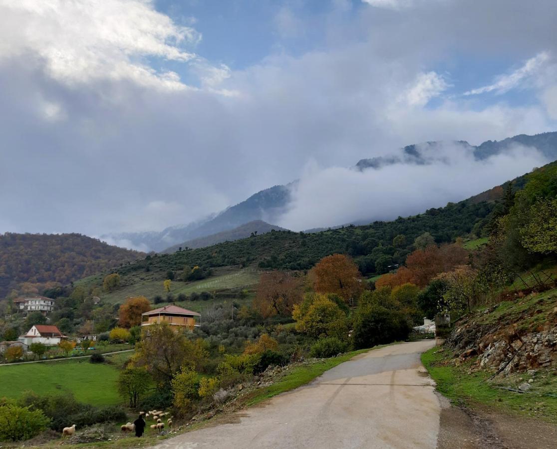 Country Home Genesi 20 Min From Trikala Dış mekan fotoğraf